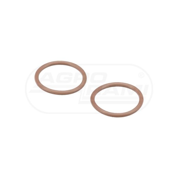 O-ring