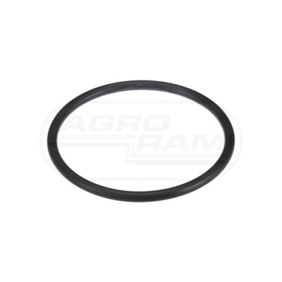 O-ring