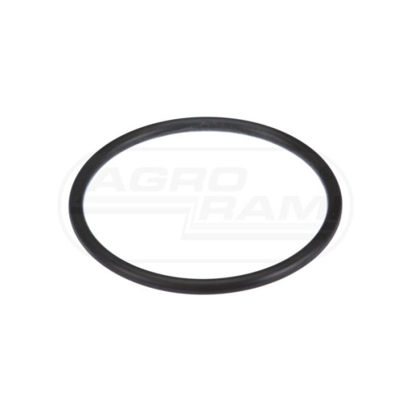 O-ring