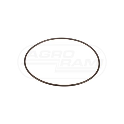 O-ring