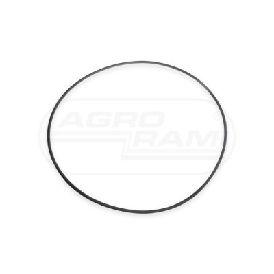 O-ring