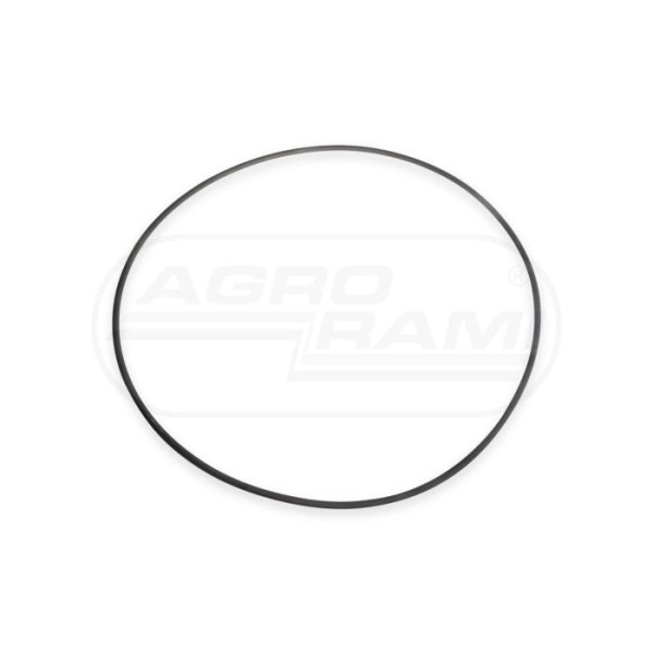 O-ring