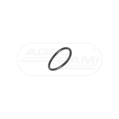 O-ring