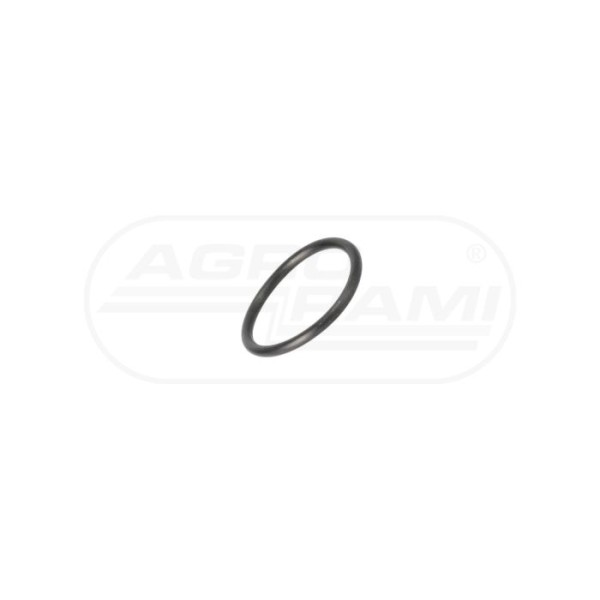 O-ring