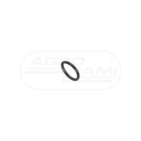 O-RING
