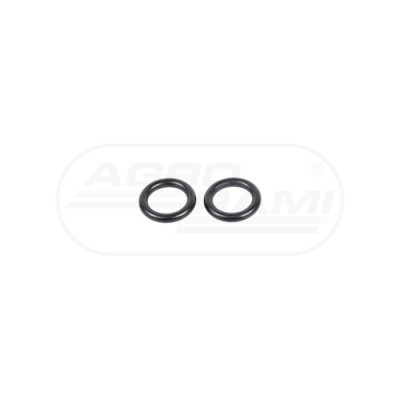 O-ring