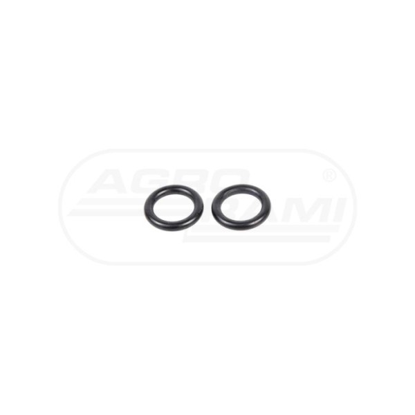 O-ring