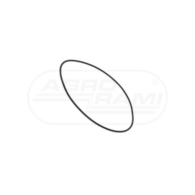 O-ring