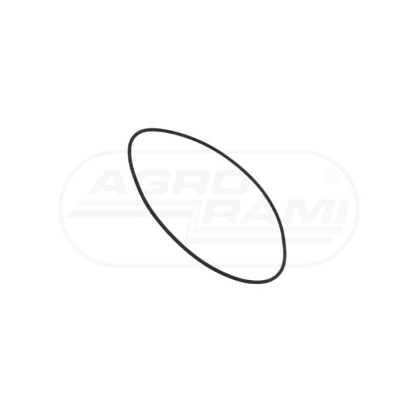 O-ring