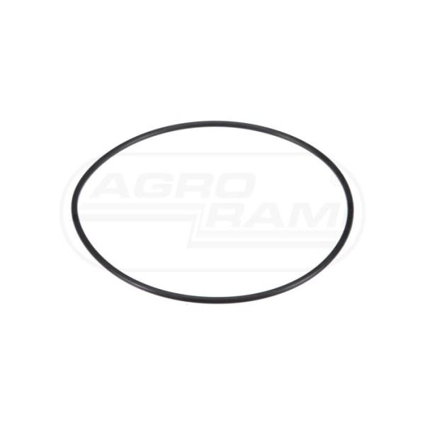 O-ring