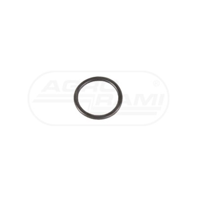 O-ring