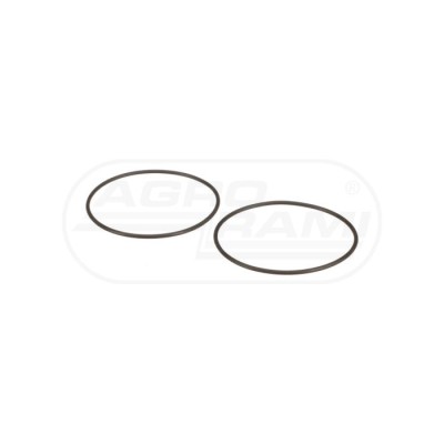 O-ring