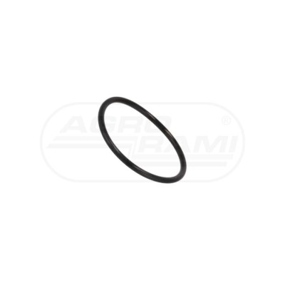 O-ring