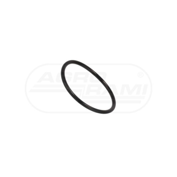 O-ring