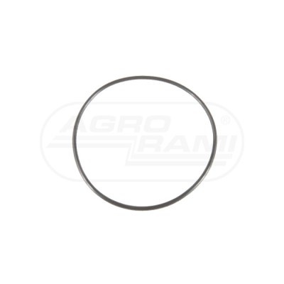 O-ring