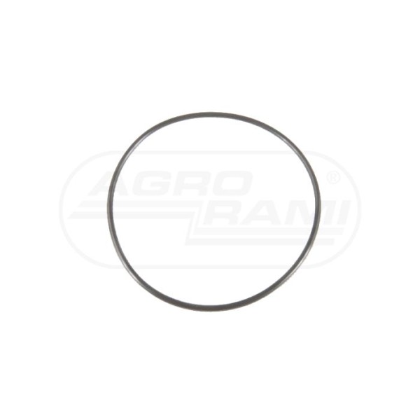 O-ring