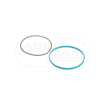 O-RING