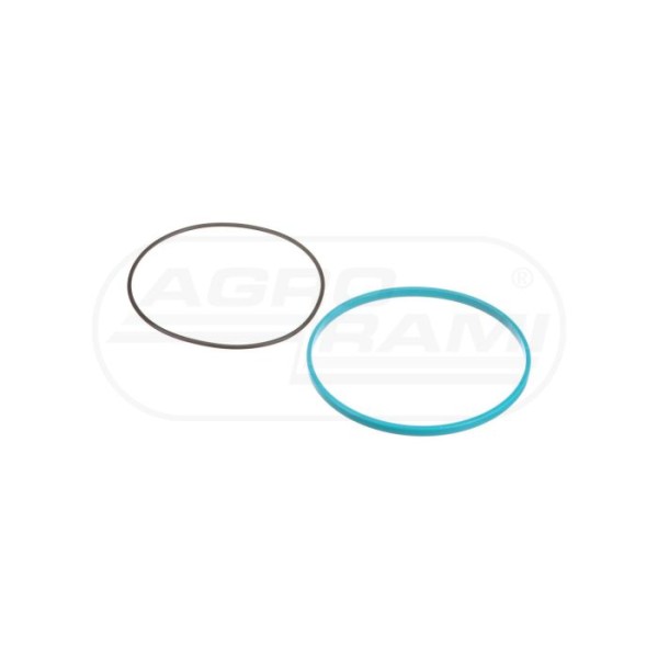 O-RING