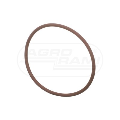 O-ring