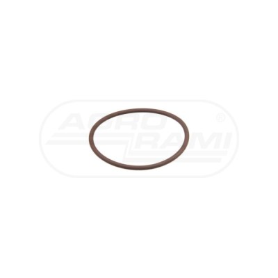 O-ring