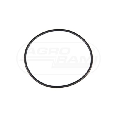 O-ring