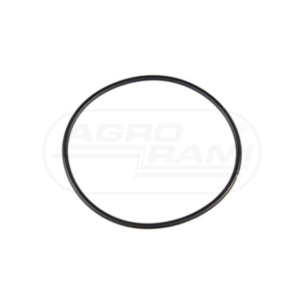 O-ring