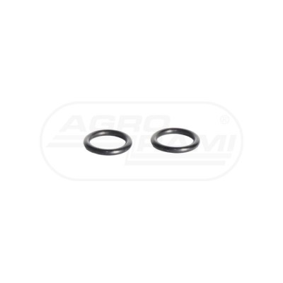 O-ring
