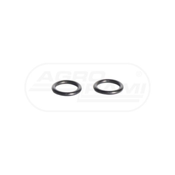 O-ring