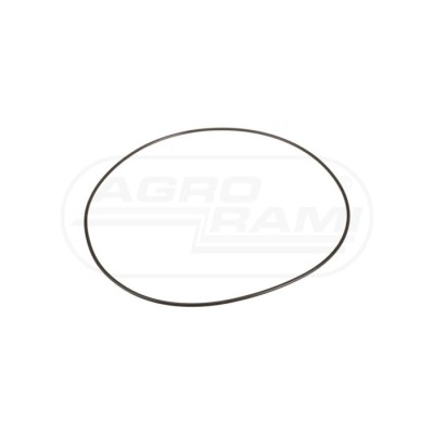 O-ring