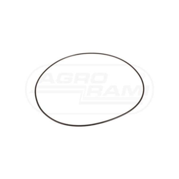 O-ring