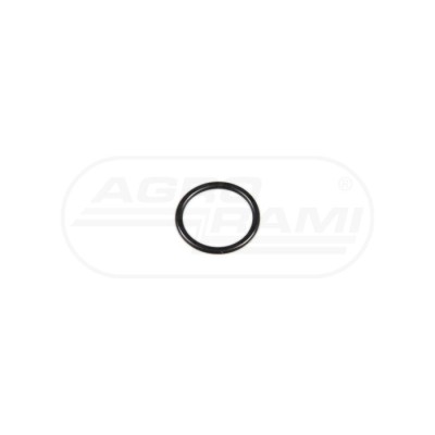 O-ring