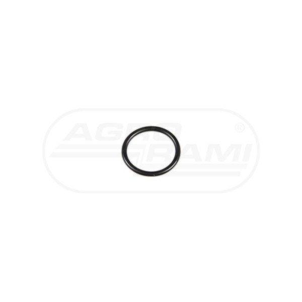 O-ring