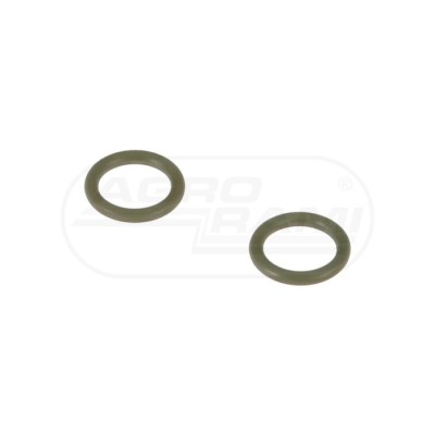 O-ring