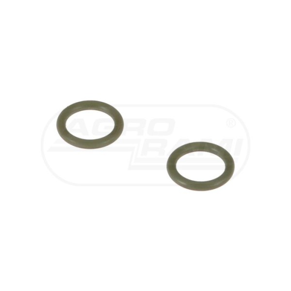 O-ring