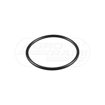 O-ring