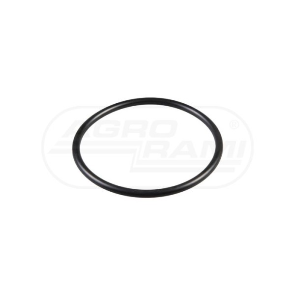 O-ring