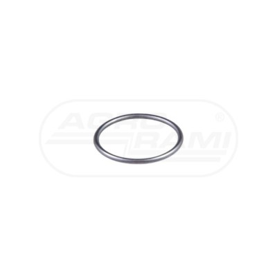 O-ring