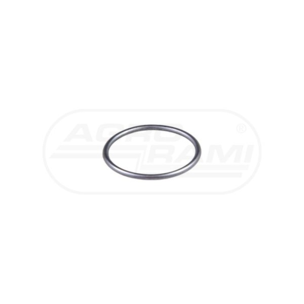 O-ring