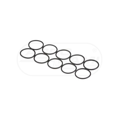 O-ring
