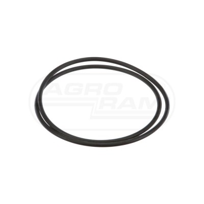 O-ring