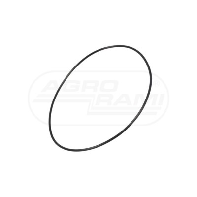 O-ring