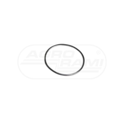 O-ring