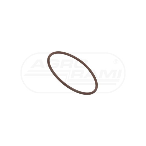 O-ring