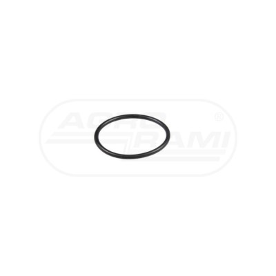 O-ring