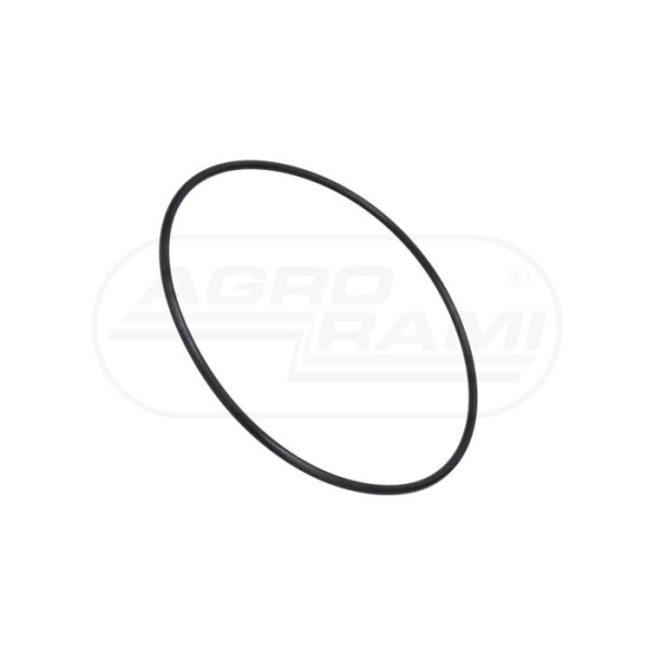 O-ring