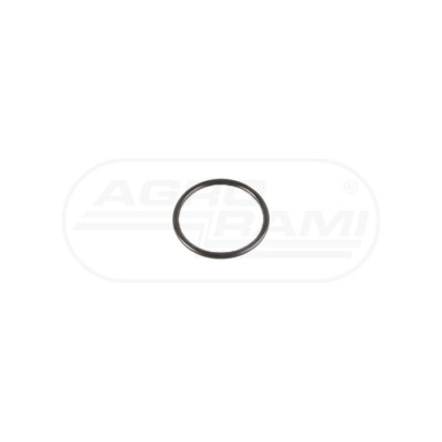 O-ring
