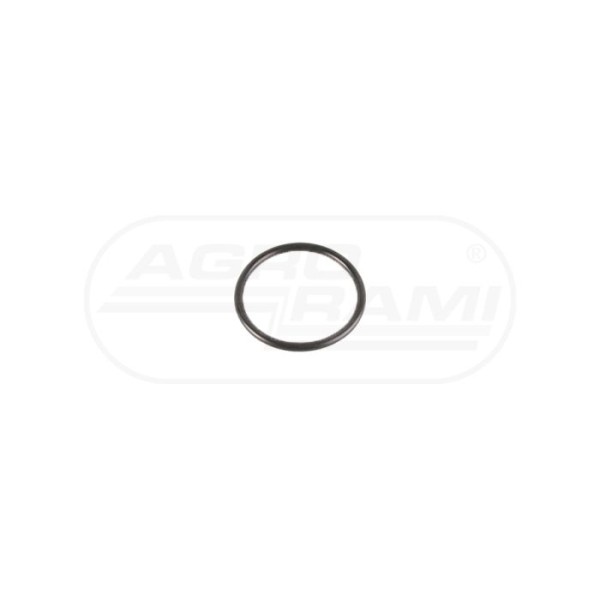 O-ring