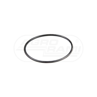 O-ring