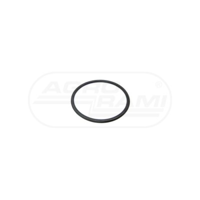 O-ring