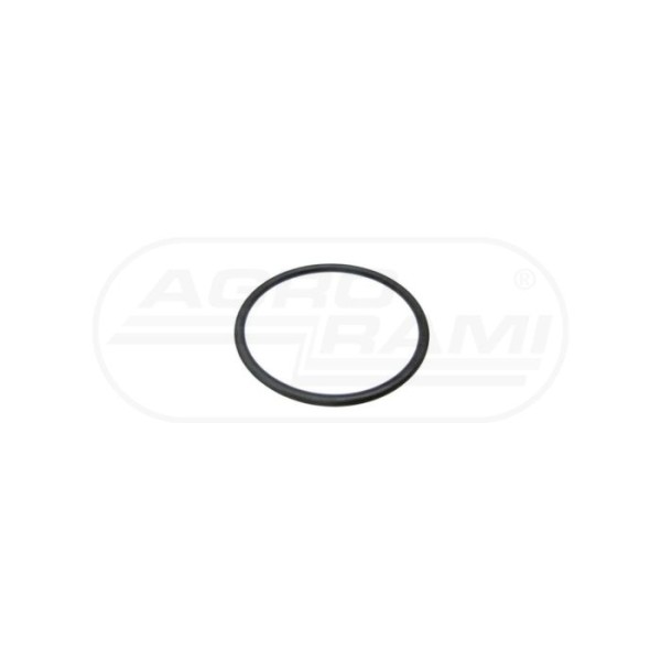 O-ring